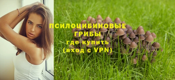 трава Балабаново
