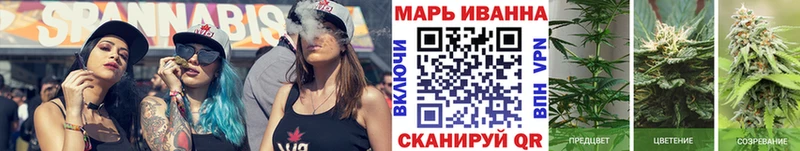 закладка  Вятские Поляны  Шишки марихуана сатива 